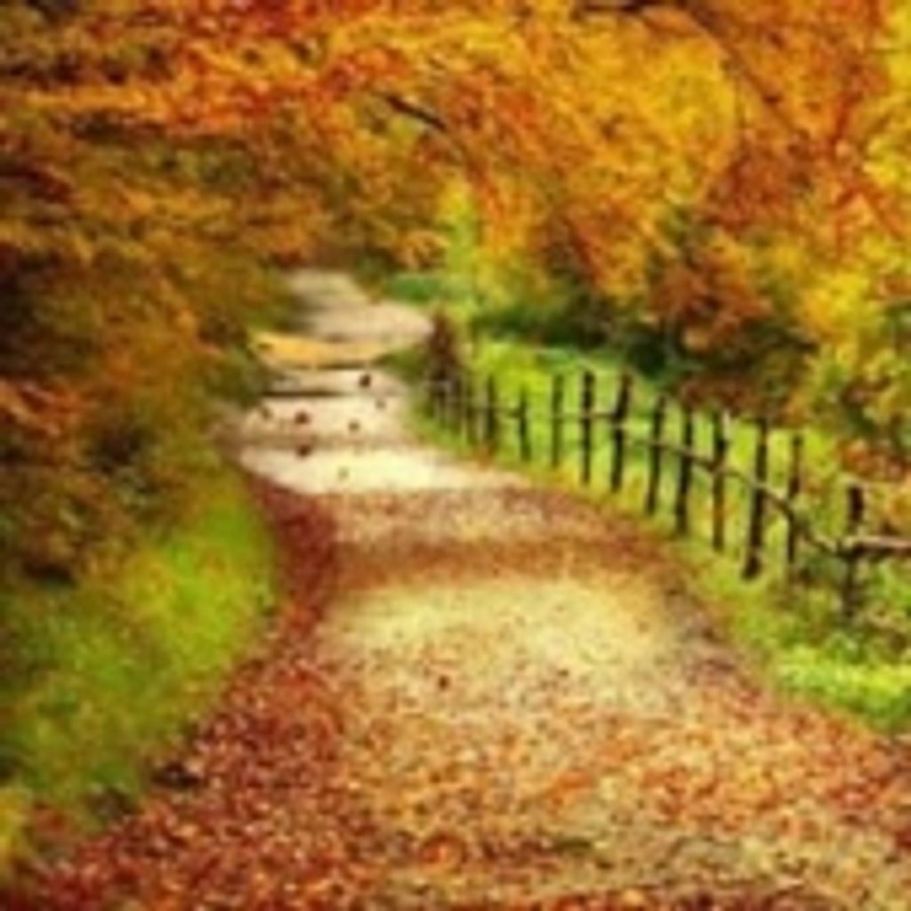 Charles Wilson Boyer