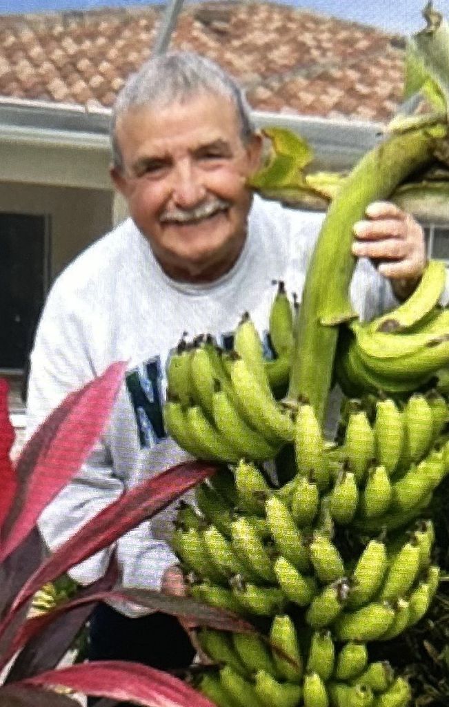 Donato Dinatale Profile Photo