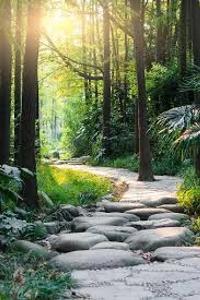 Kenneth Clyde Lipe Profile Photo