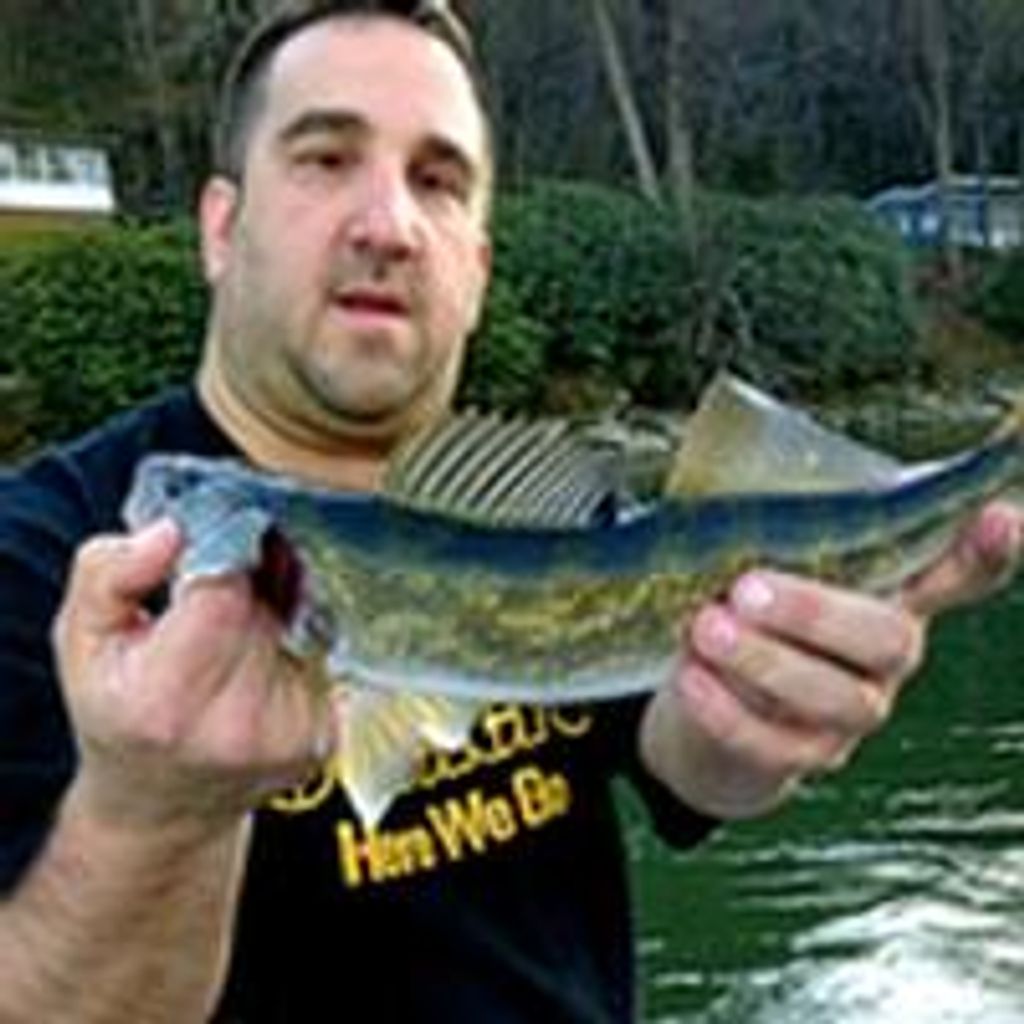 Todd A. Blose