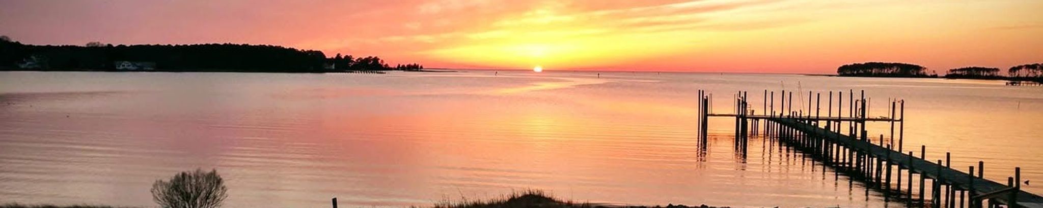 Cover for Joanne Fraser's Obituary