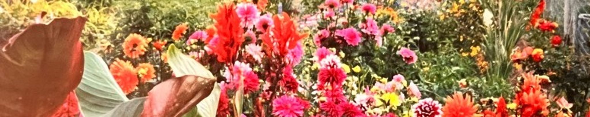 Cover photo for Karen K. Kodesh's Obituary