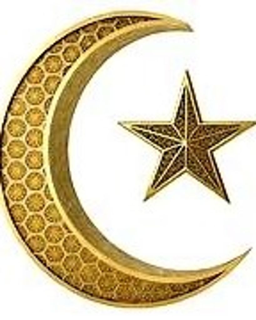 Nasreddine El Habchi Profile Photo