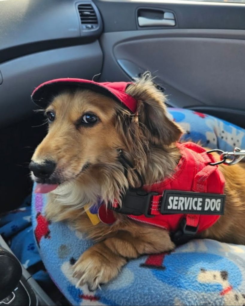 Lady Bella Snodgrass