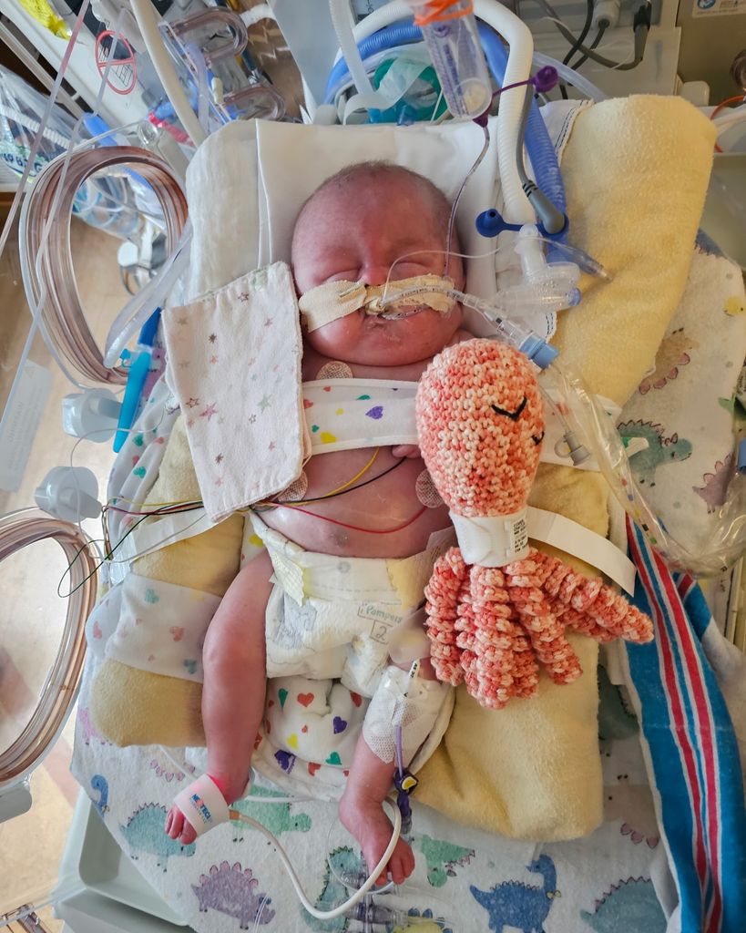Charlie Ann Kathleen "Charlie Girl" Fisher