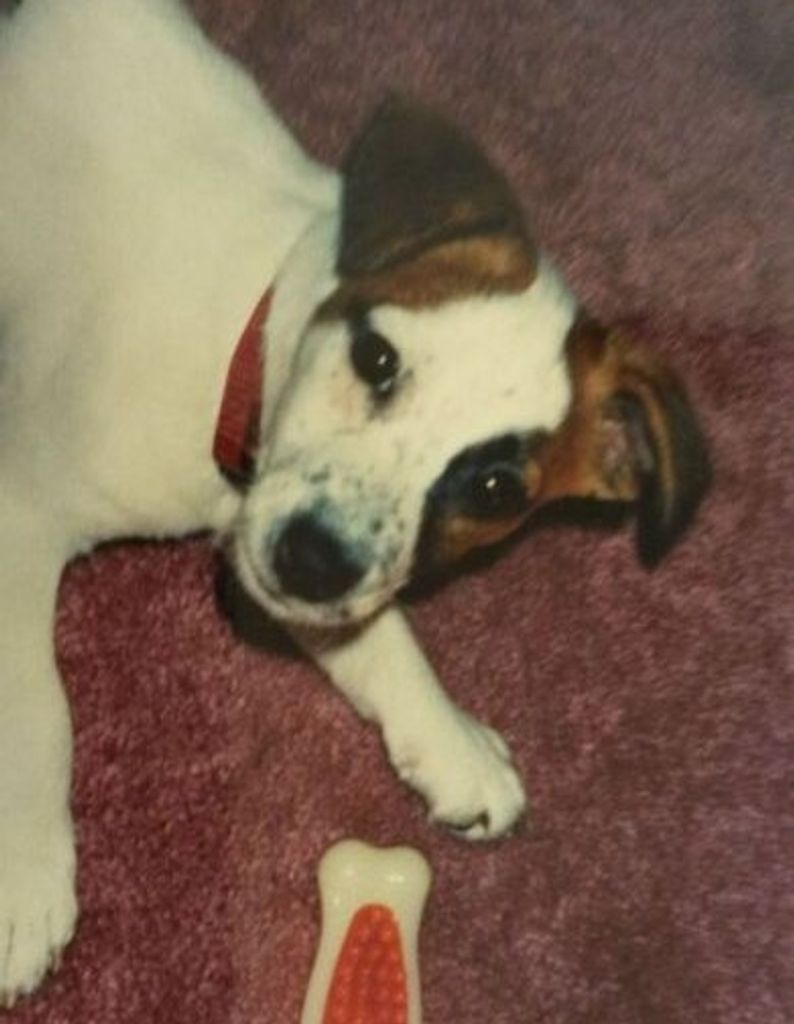 Dixie Gardner