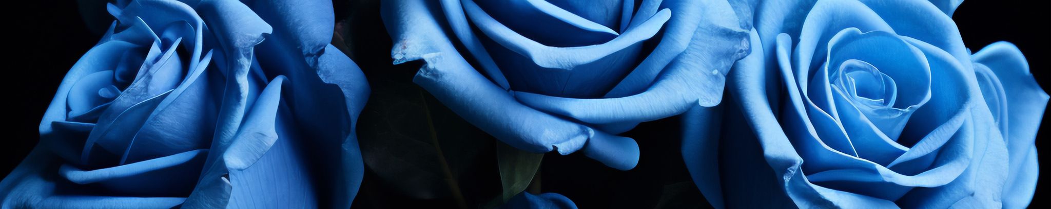 Cover for Herman L. White, Jr.'s Obituary