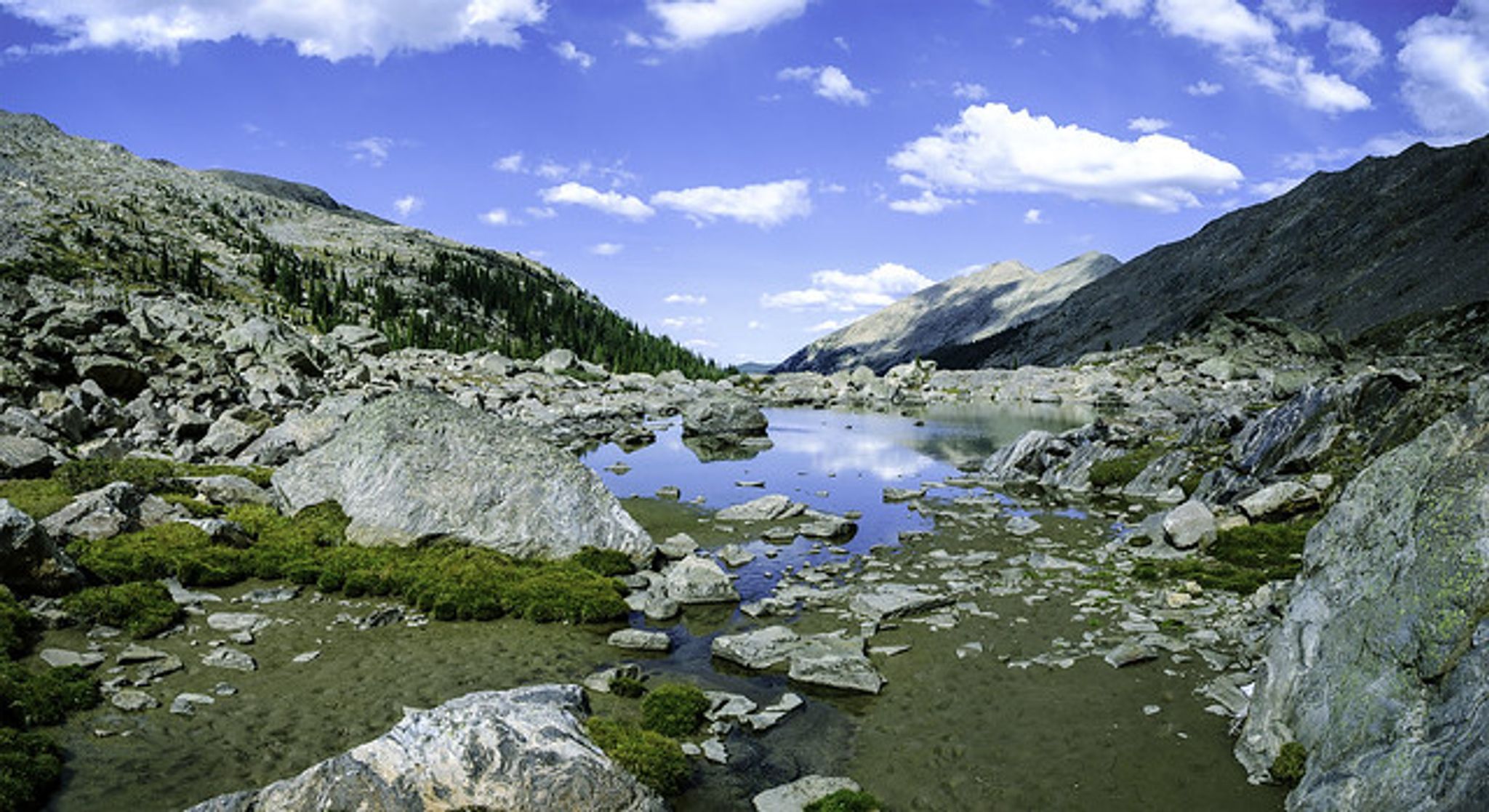 Cover photo for James Louis Newland's Obituary