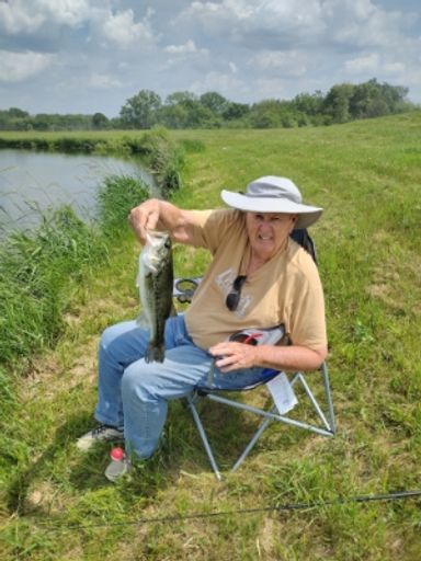 John Sinon Flannery photo gallery thumbnail 2 of 2