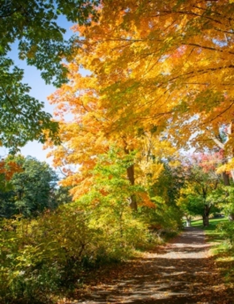 Roy Daughenbaugh Profile Photo