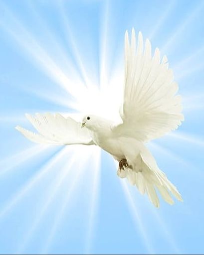 Arnoldo H. Trevino's obituary image