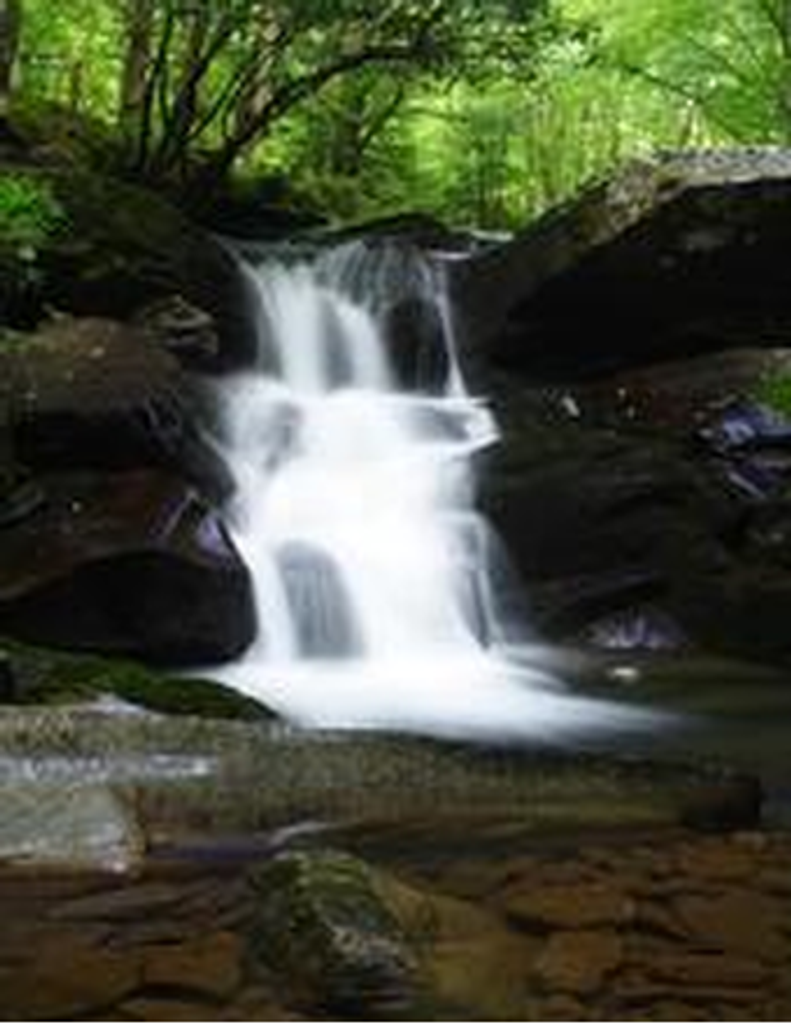 Harold James Morris, Sr