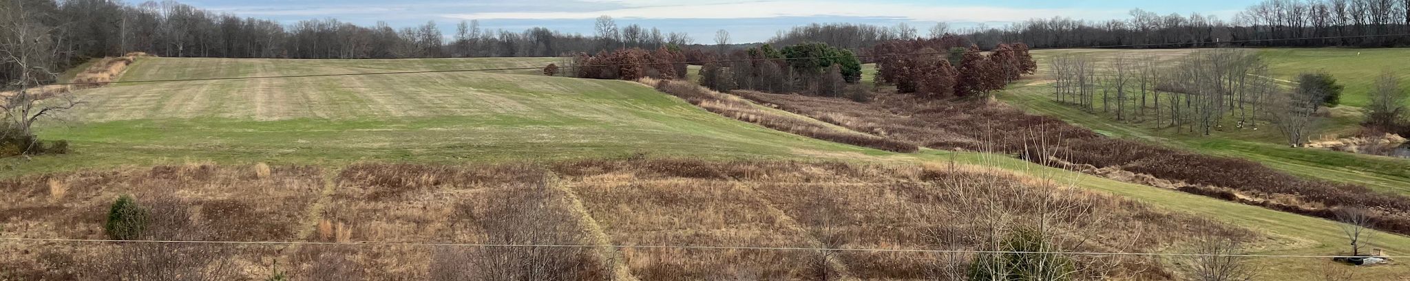 Cover for Charles “Paul” Kostival's Obituary