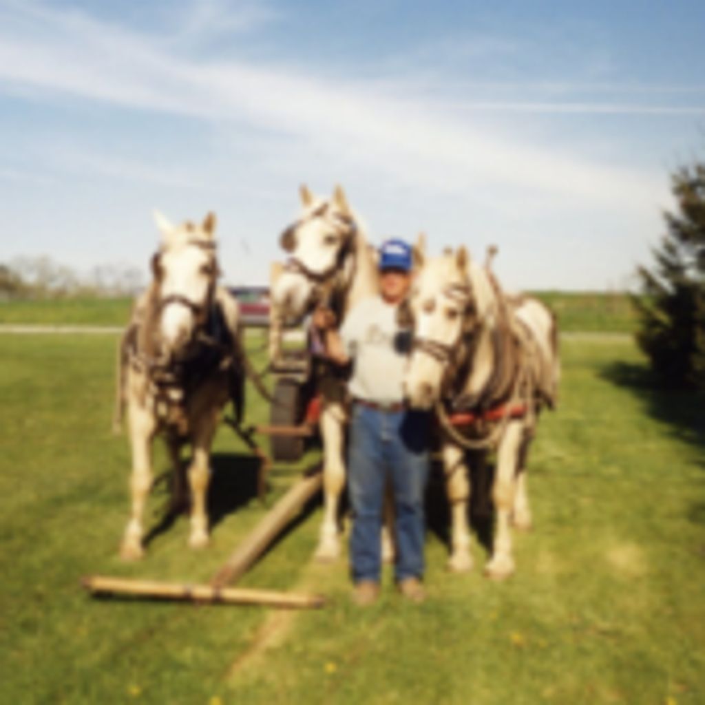 David E. Evans Profile Photo