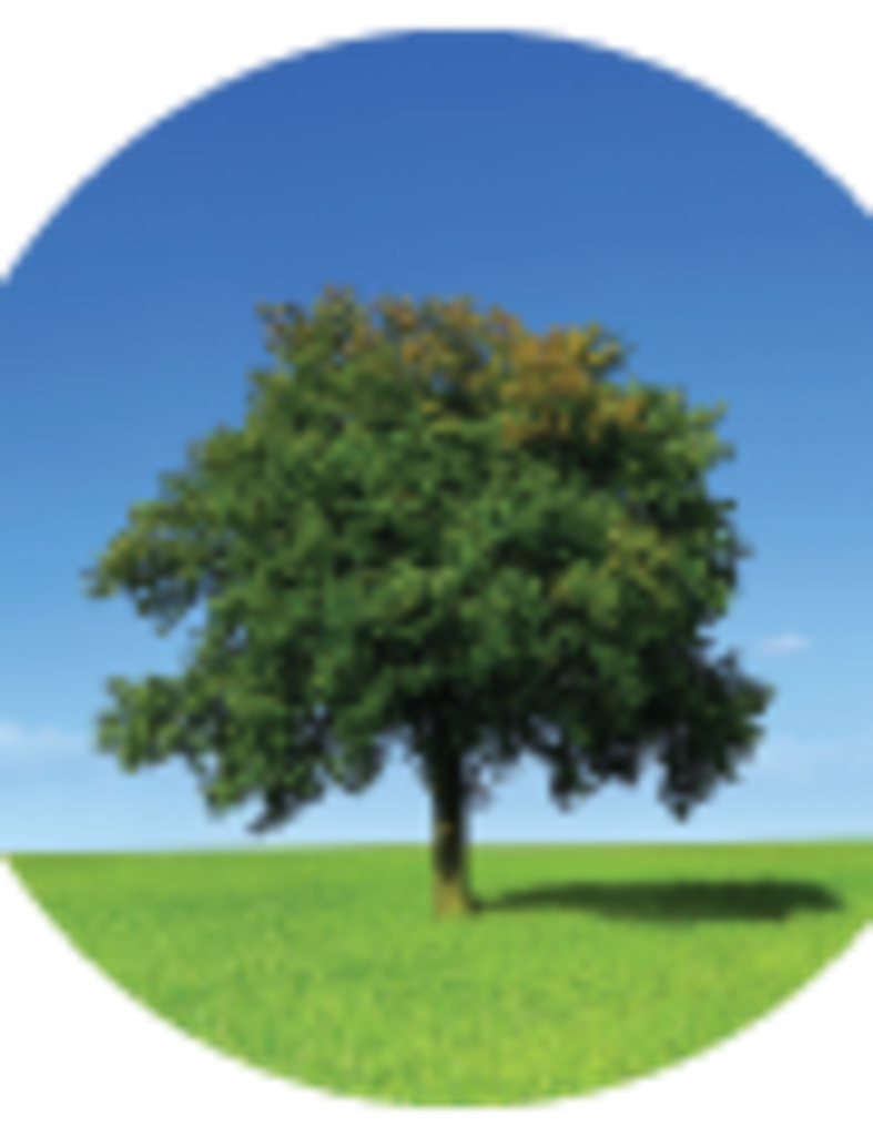 Edwin Ian Solheim Profile Photo