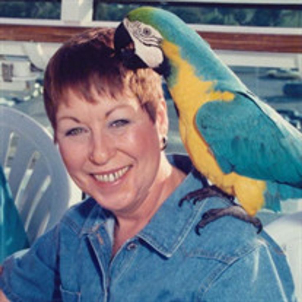 Koeta Lynne Anderson Lintz