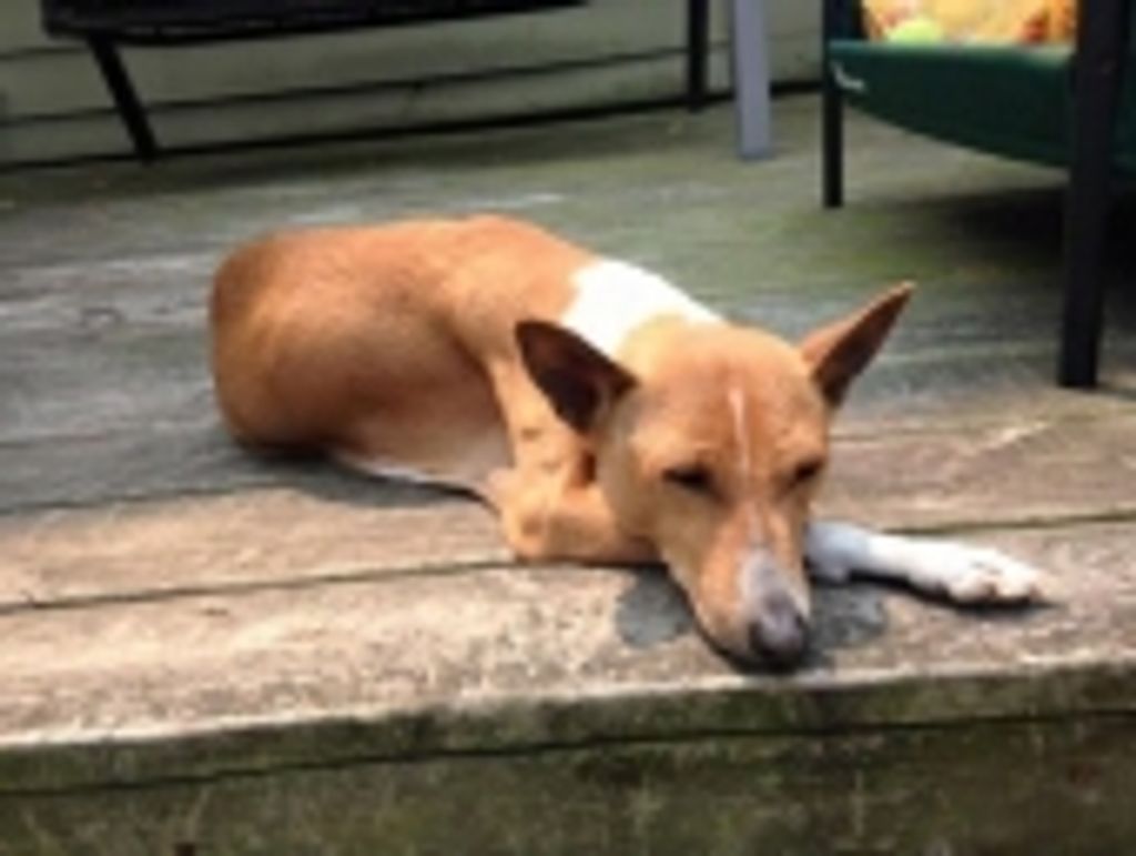 Layla Christiansen Profile Photo