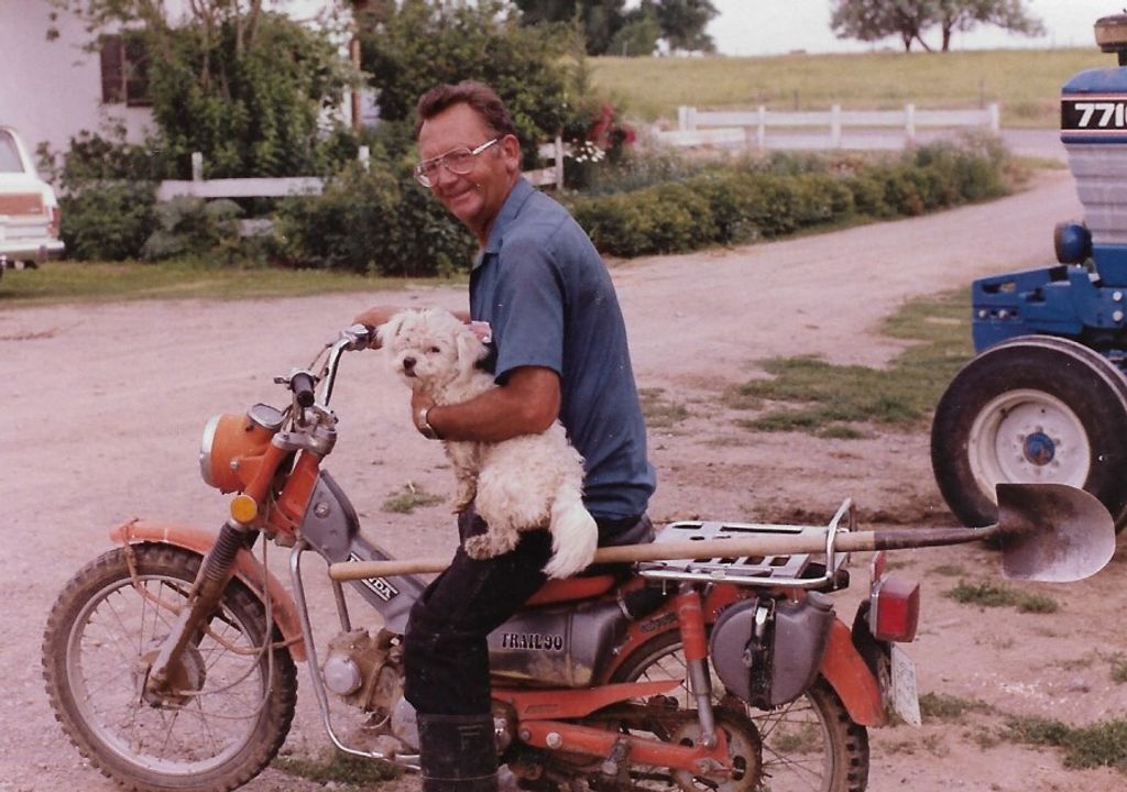 Roger Andrews