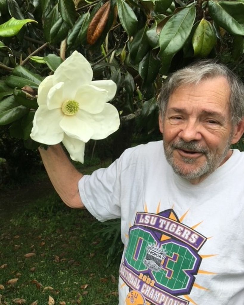 Rolla Roy "Buzz" Werline, Jr.
