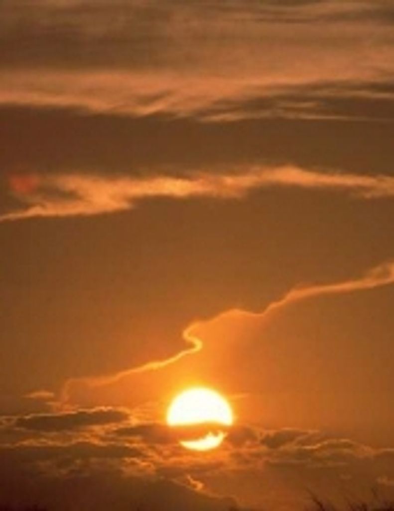 Brian Melvin Schrader