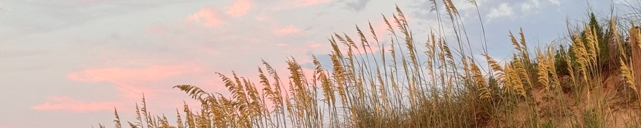 Cover for Otto Allen Holden, Jr.'s Obituary