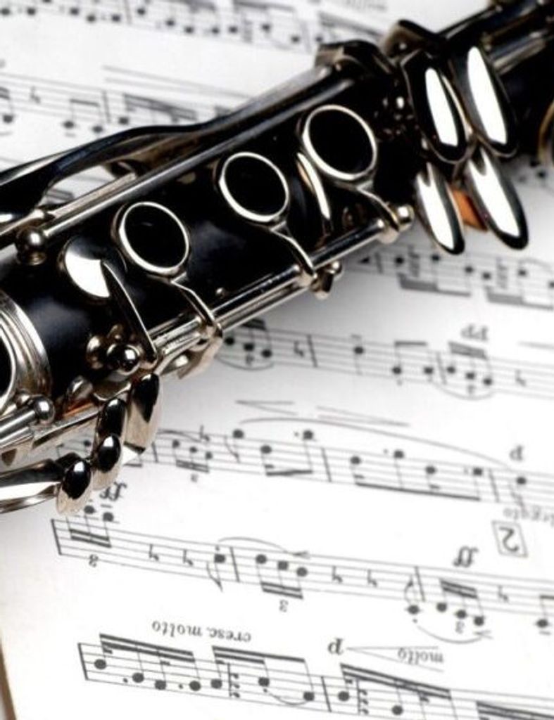 David Ellis Solomon Profile Photo