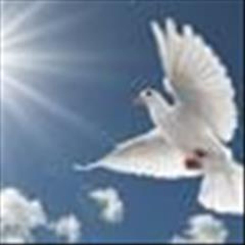 Dr. C. D. Spencer, Dds Profile Photo