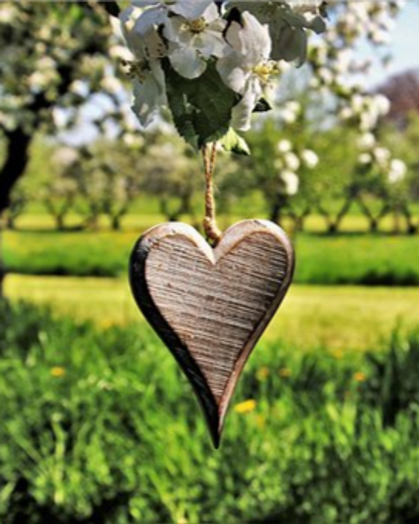 O'Celia Fontan Riley Profile Photo