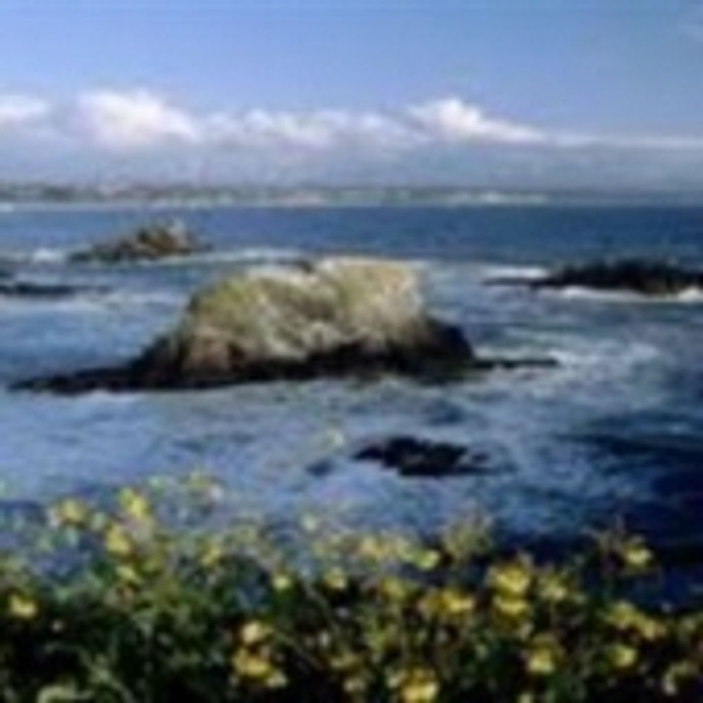 Kathy Southwick