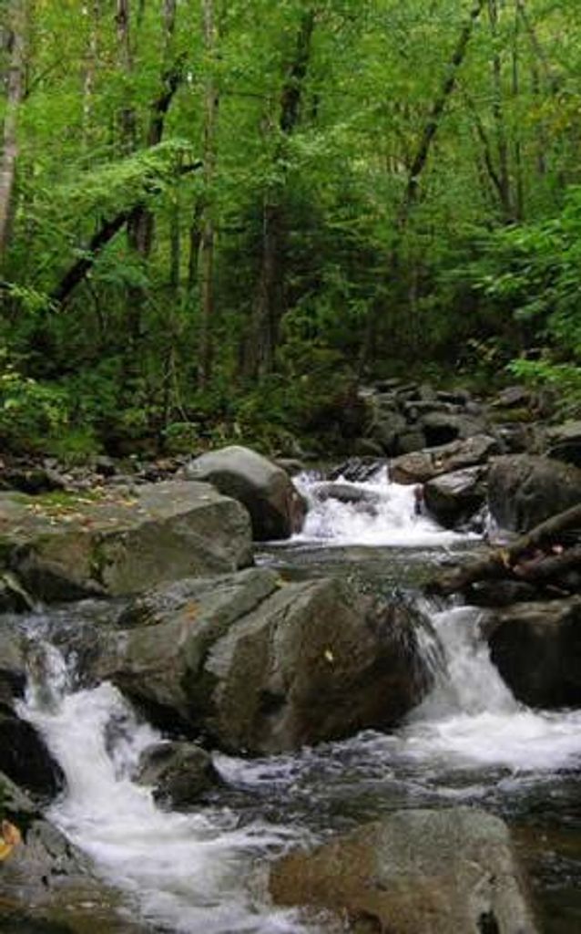 Roy T. Grandstaff Profile Photo
