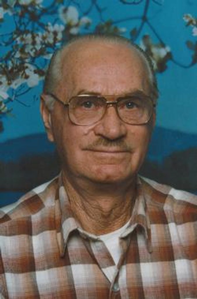 Raymond Stende