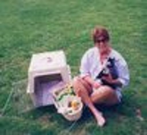 Linda Wyatt photo gallery thumbnail 7 of 10