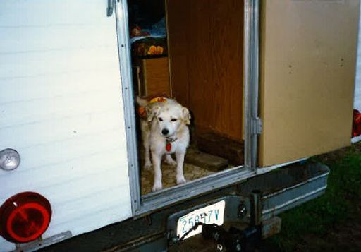 Sidney R. Kent photo gallery thumbnail 86 of 109