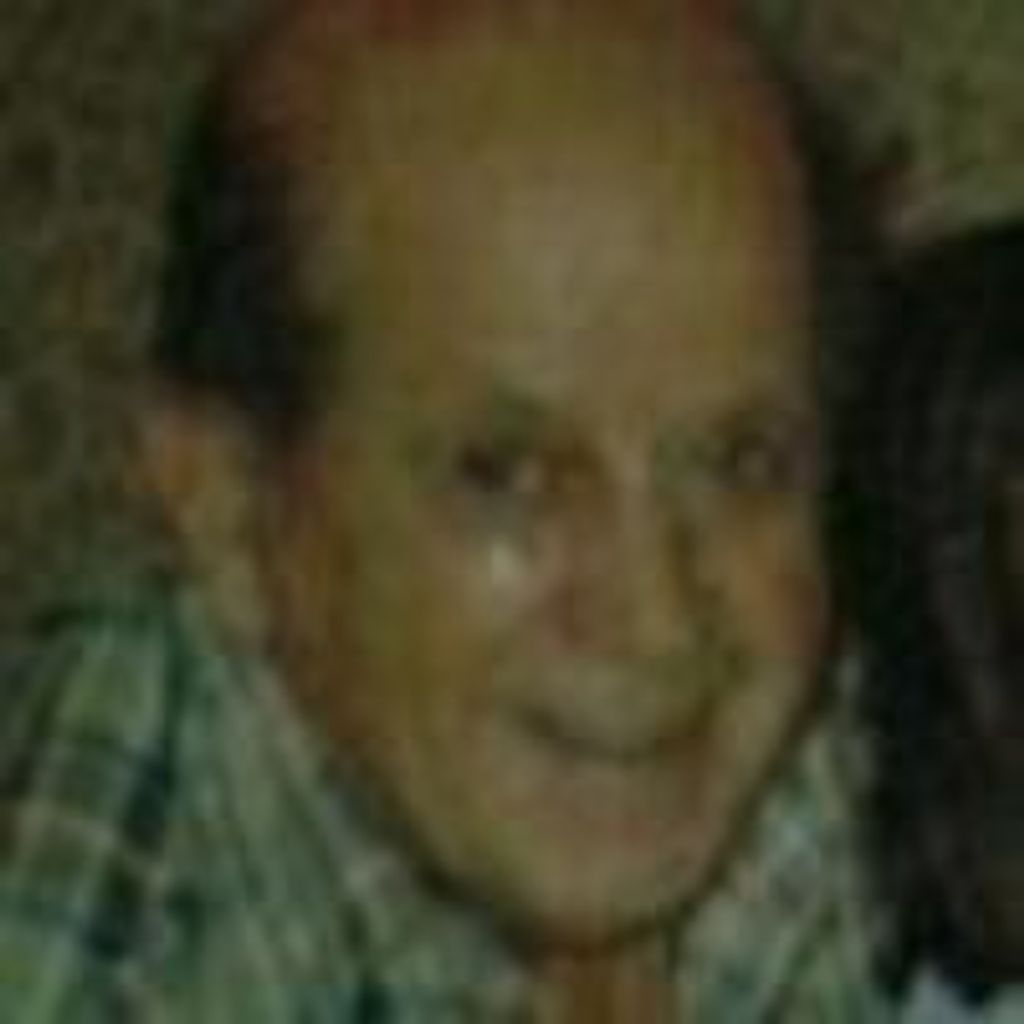 Nicholas L Gitsas