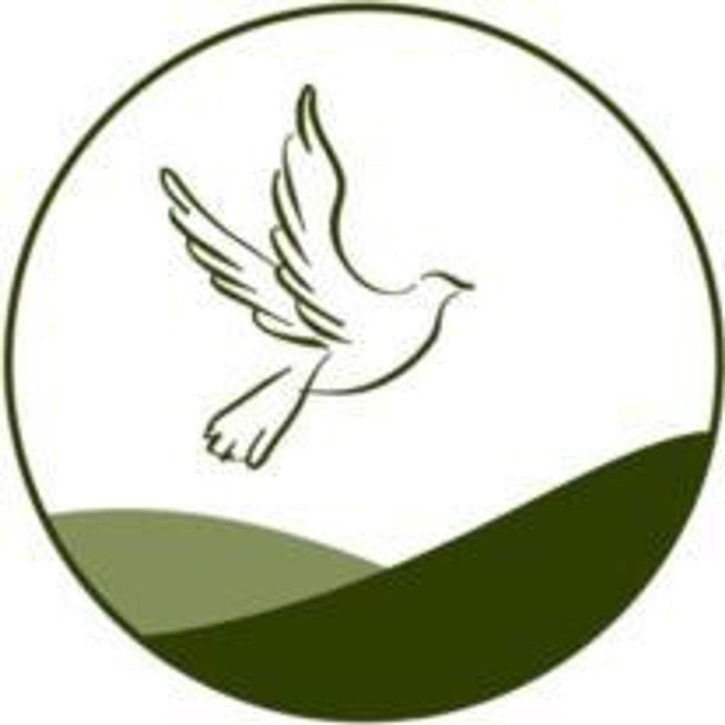 Vicki Falconer Profile Photo