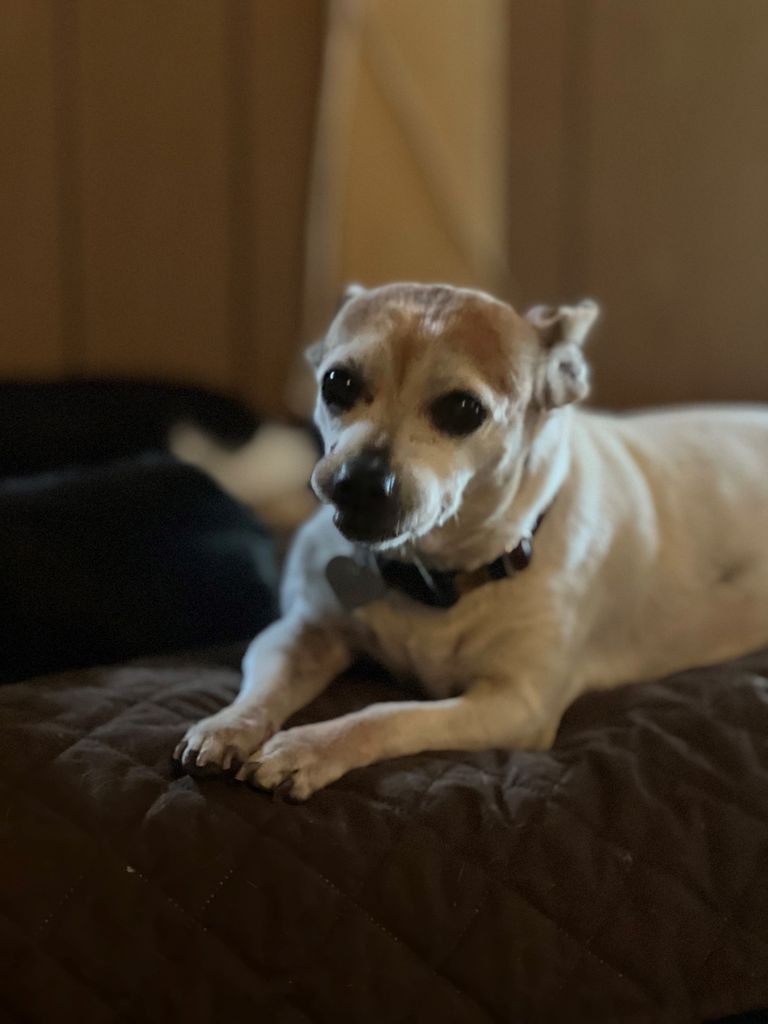 Lexi Profile Photo