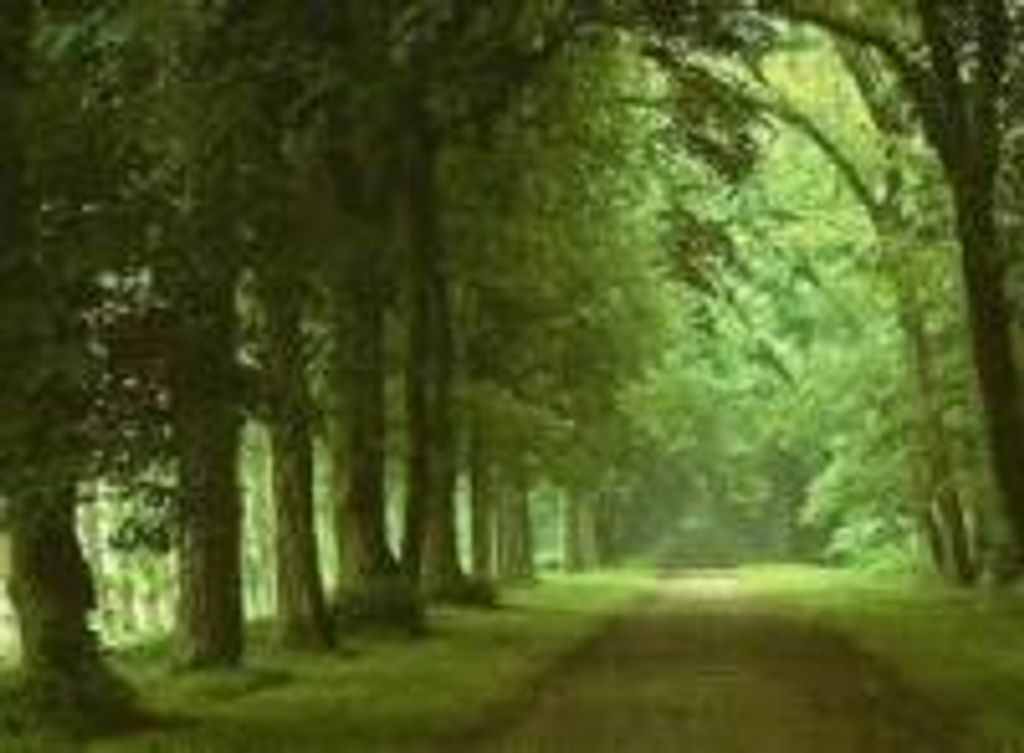 David Arnold Mccormick