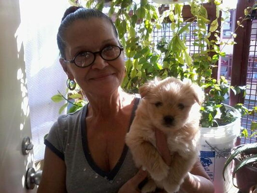 Carmen Iris Andujar Dejesus Profile Photo