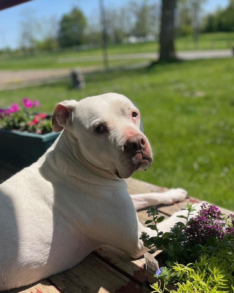 Ghost Lyon Profile Photo