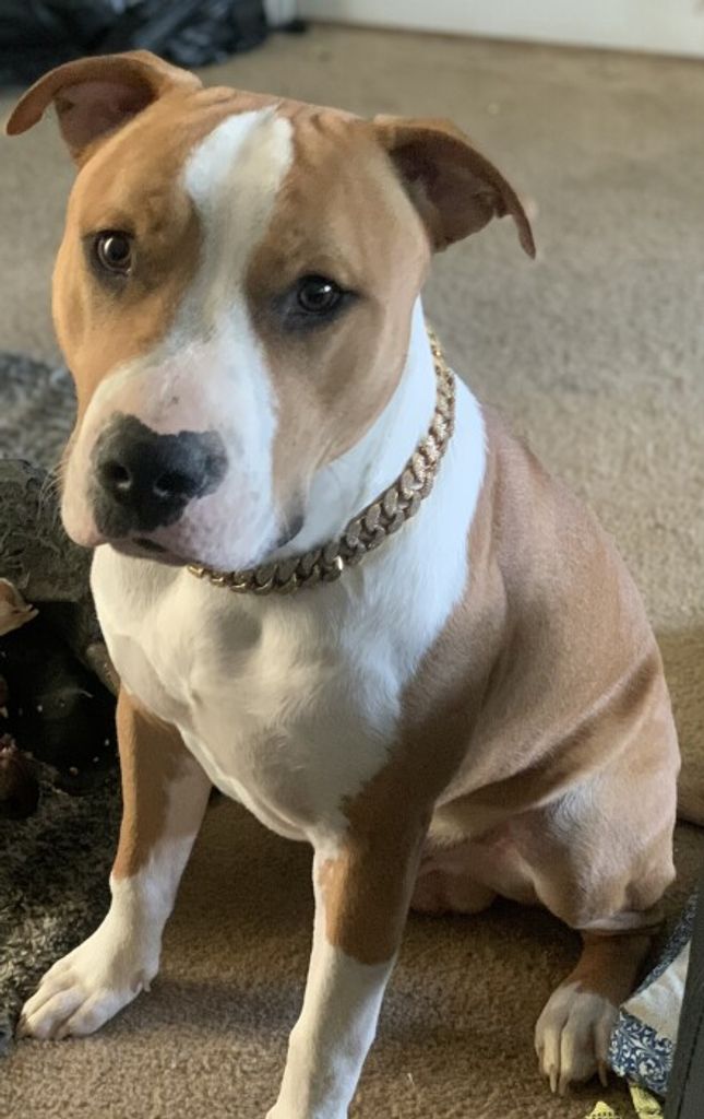 Seven Kentrell "Brock" Gibson