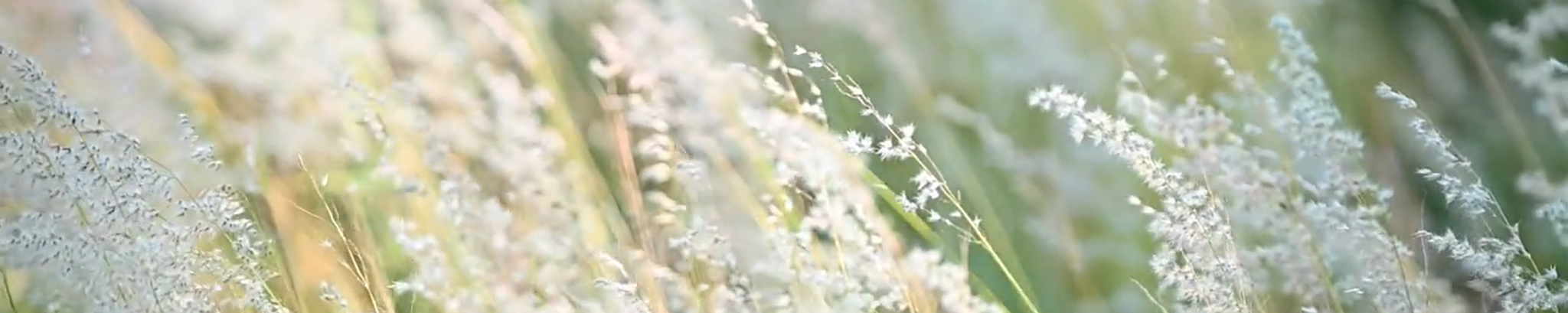 Cover for Bernard Andrew Nabozny's Obituary