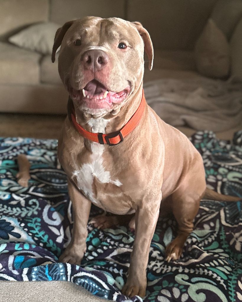 Titus Williams Profile Photo
