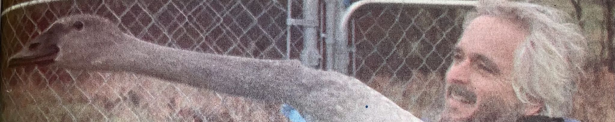 Cover for Steven David Wilson's Obituary