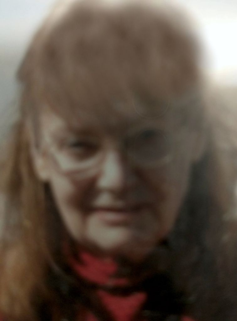 Carolyn Sue Farrier