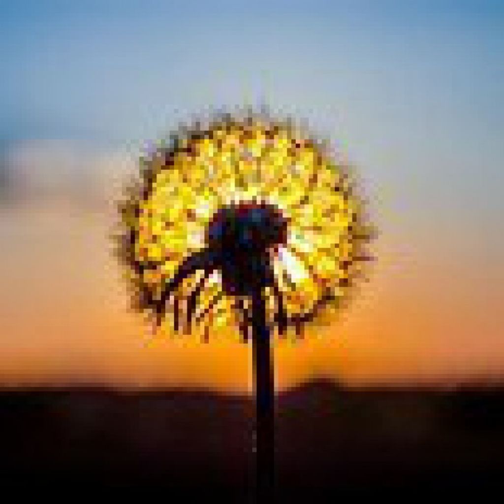 Pedro A. Fontanez Santiago Profile Photo