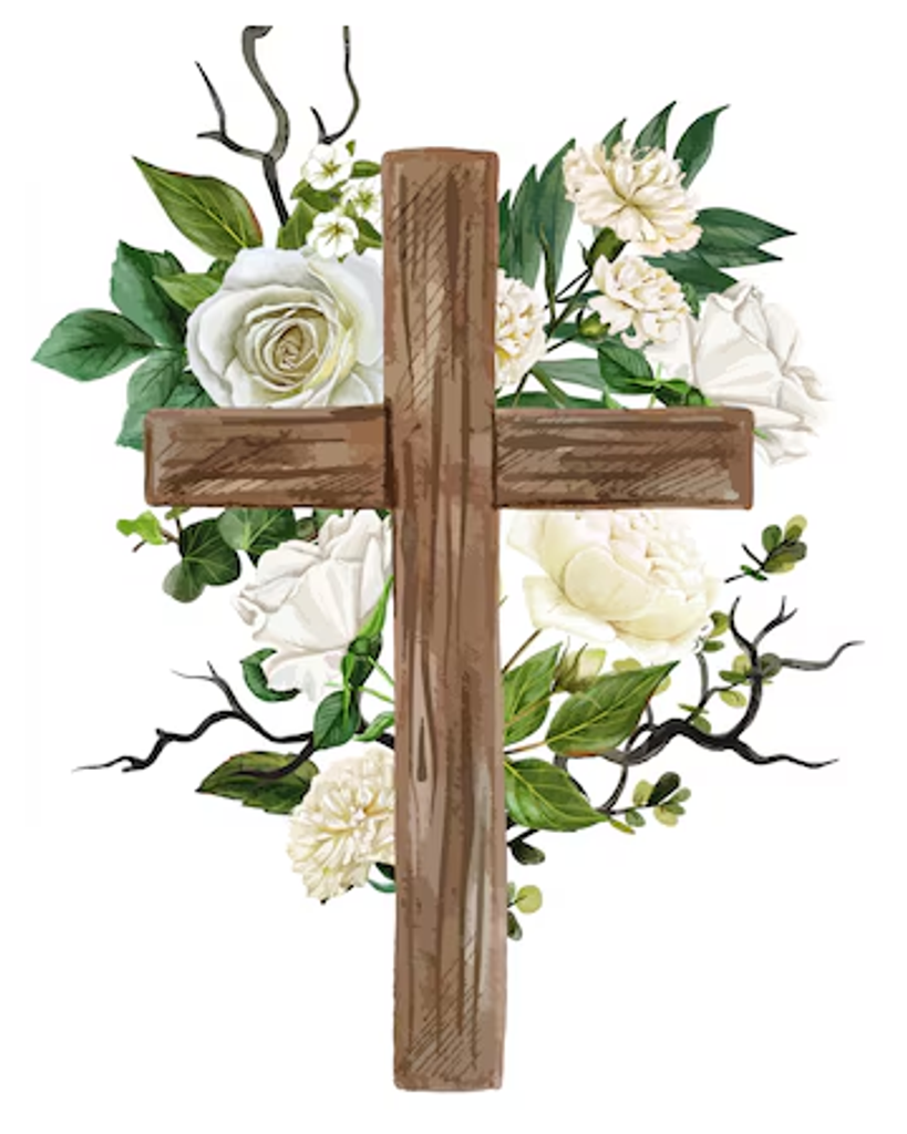 Nily Barrientos Flores Profile Photo