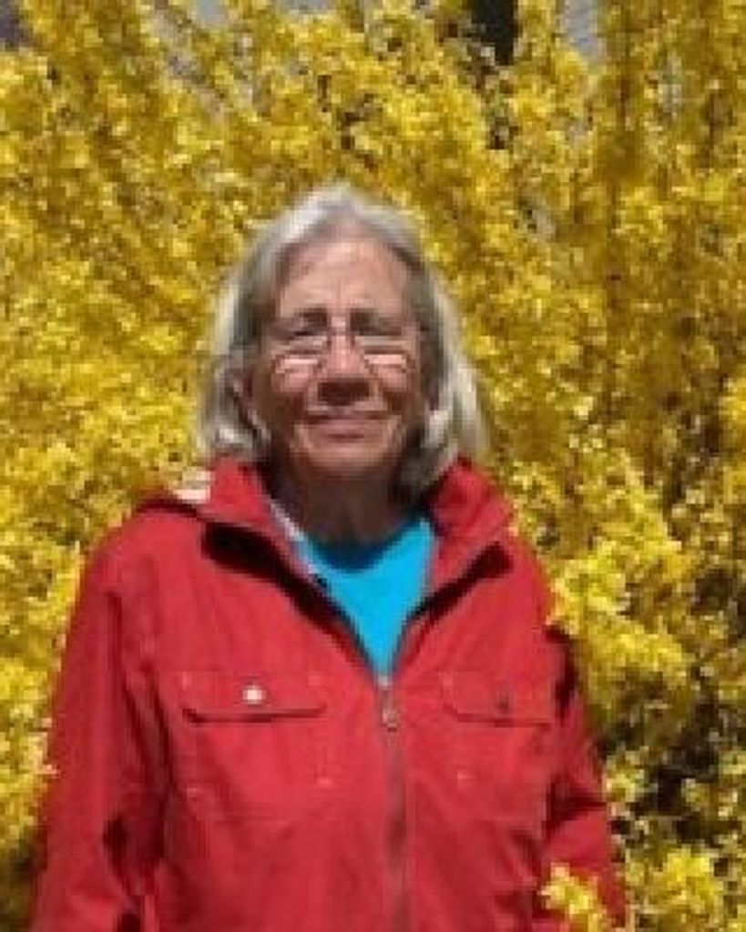 Vicki Barnes Vestal Profile Photo
