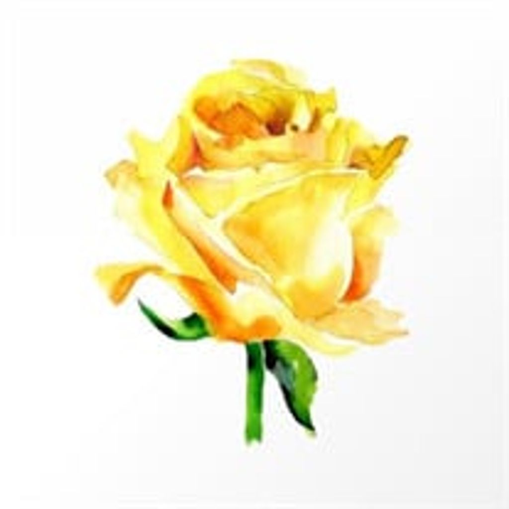 Linda Howard Profile Photo