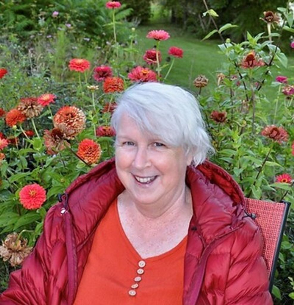 Jeanne Ward Profile Photo