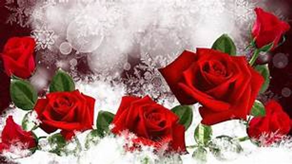 Dora Marie Sanford Profile Photo